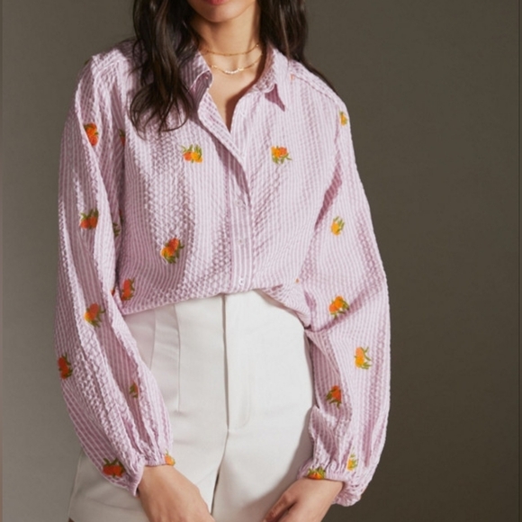 Anthropologie Maeve Embroidered Button down Shirt In Assorted Fruit Striped LG - Picture 1 of 15
